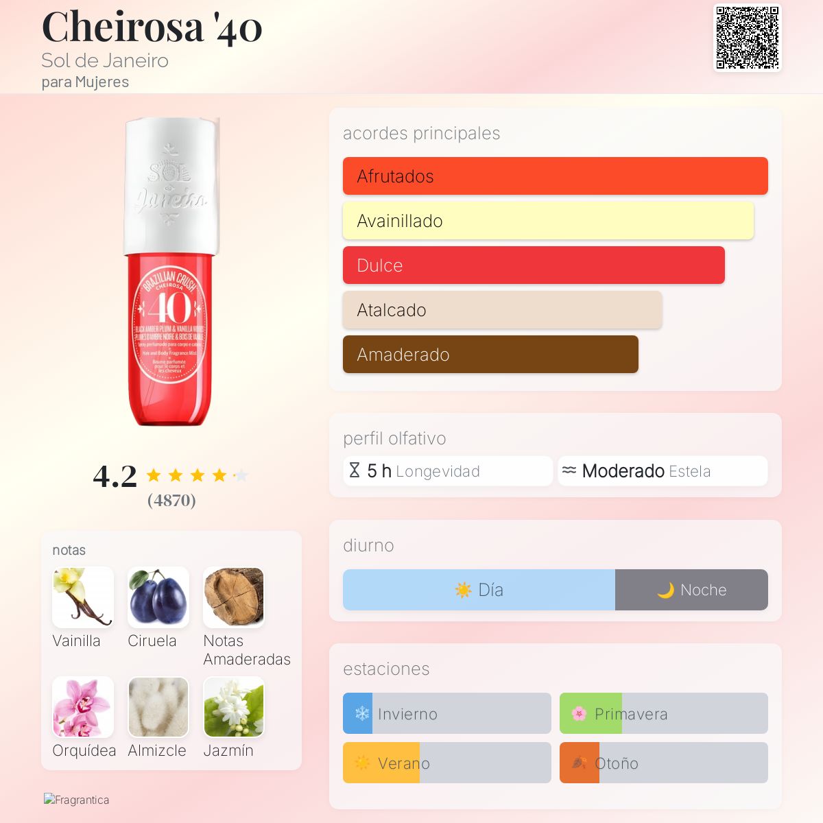 Jet Set Sol de Janeiro 40